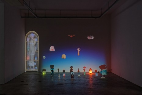 Shana Moulton, Life as an INFJ, 2015, Galerie Crèvecoeur