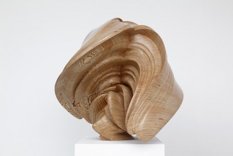 Tony Cragg, Willow, 2014, Lisson Gallery