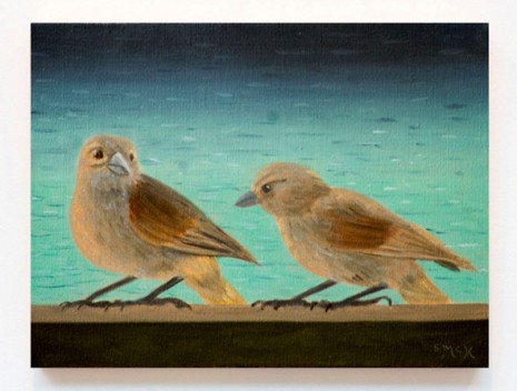 Stephen McKenna, Lesser Antilles Bullfinches, 2011, Kerlin Gallery