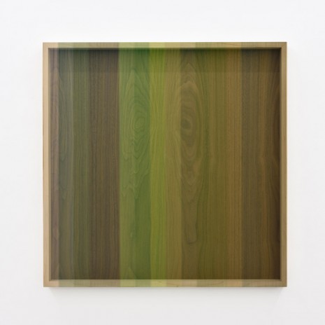 Brian Wills, Untitled (Green progression hovering thread), 2016, Praz-Delavallade
