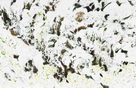 Deborah Poynton, Scroll: Writing the Forest, 2016 , Galerie Hans Mayer