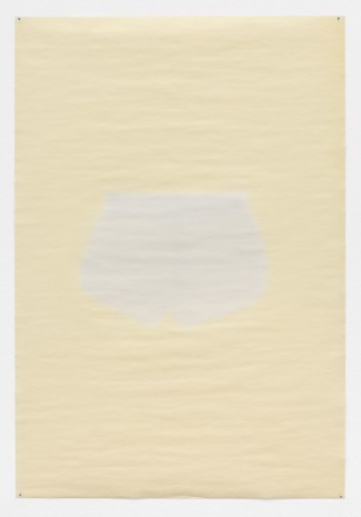 Jamie Isenstein, Sunprint, 2016, Meyer Riegger