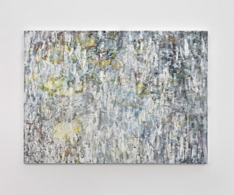 Sabine Moritz, Snow, 2016 , Marian Goodman Gallery