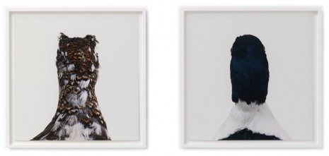 Roni Horn, Untitled, No. 15, 2007, Marian Goodman Gallery