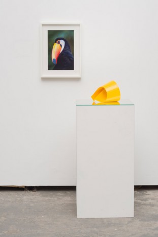 Marine Hugonnier, Anima(L), 2014, Marian Goodman Gallery