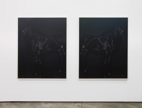 Sarah Jones, Black Horse (Profile) (Black) (II/I & II), 2010-­2013, Marian Goodman Gallery