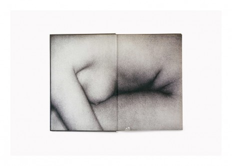 Anne Collier, Endpapers #1 (Photographing the Nude), 2016, Galerie Neu