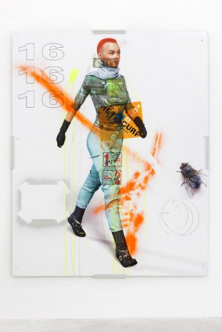 Jason Matthew Lee, Untitled, 2016 , Galerie Crèvecoeur