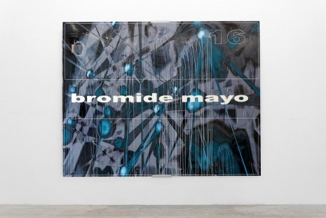 Jason Matthew Lee, bromide mayo, 2016 , Galerie Crèvecoeur