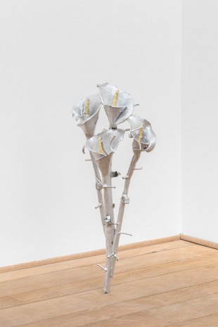 Jean-Marie Appriou, Four of Arums 1, 2016 , CLEARING