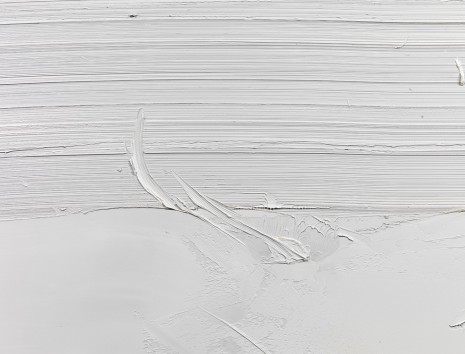 Jason Martin, Untitled (Titanium White) (detail), 2016, Lisson Gallery
