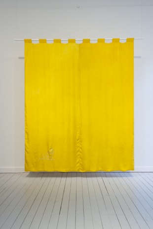 Kasper Bosmans, Iris Pseudacorus (Yellow Flag), 2016, Gladstone Gallery