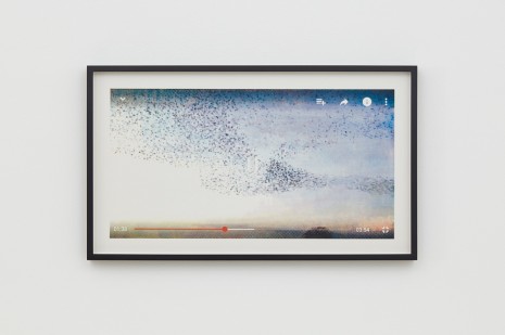 Oliver Payne, Untitled (Viral Murmuration video), 2016, OVERDUIN & CO.
