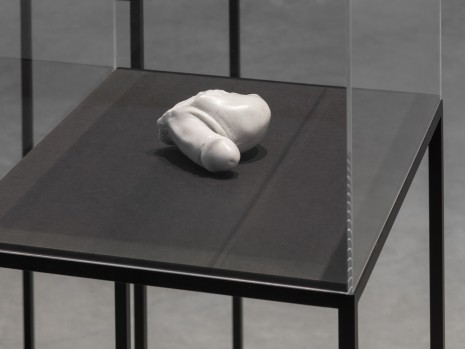 Nasan Tur, Fragment (penis and scrotum), 2015, König Galerie