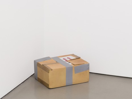 Dirk Skreber, Suspicious Package 2, 2010 , Andrea Rosen Gallery