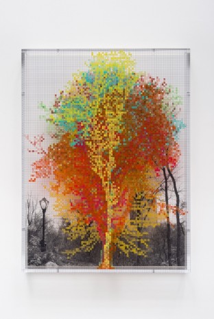 Charles Gaines, Numbers and Trees: Central Park Series III: Tree #8, Andrea, 2016, Galerie Max Hetzler