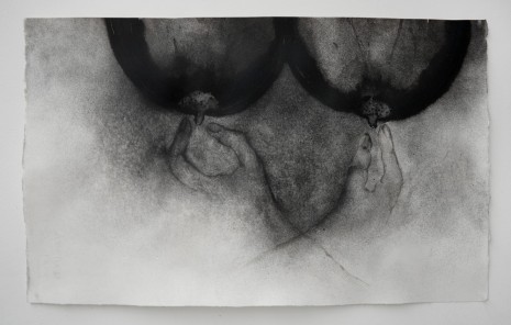 Annette Messager, Deux Mains-Tétons, 2016, Marian Goodman Gallery
