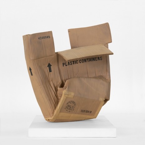 Matt Johnson, Untitled (Plastic Containers Box), 2016, 303 Gallery