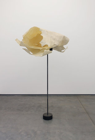 Ross Knight, Skin to Weight, 2011, team (gallery, inc.)