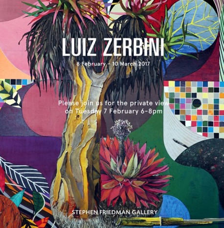 Luiz Zerbini, , , Stephen Friedman Gallery