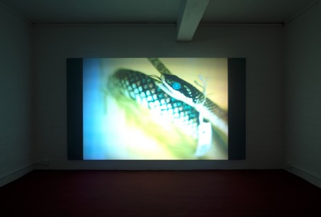 Sriwhana Spong, having-seen-snake, 2016 , Michael Lett