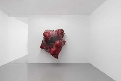 Anish Kapoor, Transparent Skin, 2016, Galleria Massimo Minini