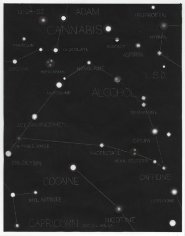 Fred Tomaselli, Chemical Celestial Portraits, Times Arrow Version, 2014, White Cube