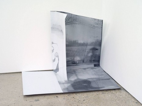 Nick Mauss, Please Turn Page Quietly, 2012, 303 Gallery