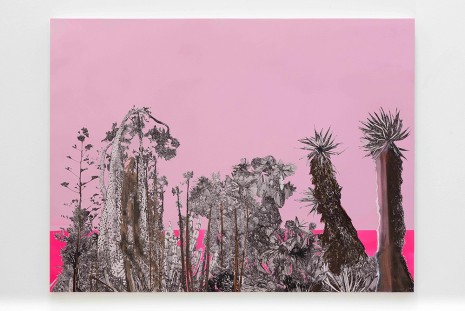 Whitney Bedford, Cactus Trash and Treasure, 2016, Art : Concept