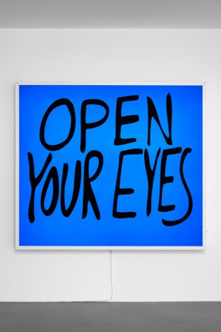 Sam Durant, Open Your Eyes, 2017, Sadie Coles HQ