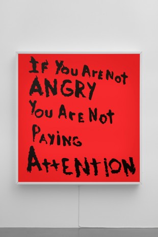 Sam Durant, If You Are Not Angry You Are Not Paying Attention, 2017, Sadie Coles HQ