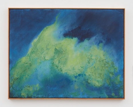 Thiago Rocha Pitta, seascape with cianobacteria,  2017, Marianne Boesky Gallery