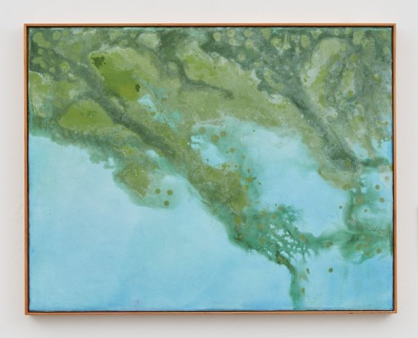 Thiago Rocha Pitta, seascape with cianobacteria, 2017, Marianne Boesky Gallery