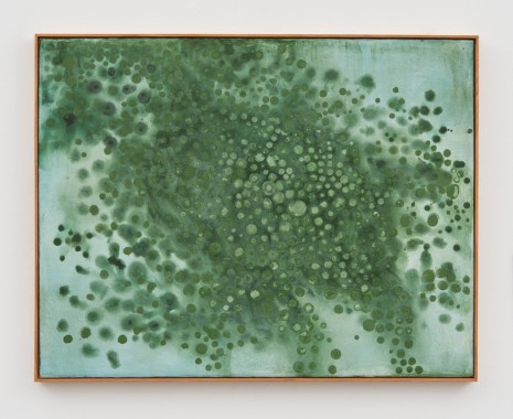 Thiago Rocha Pitta, seascape with cianobacteria, 2017, Marianne Boesky Gallery