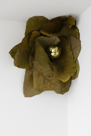Solange Pessoa, Untitled, 1999 , Zeno X Gallery