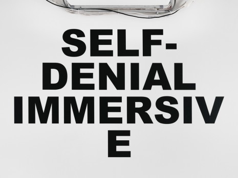 Stefan Brüggemann, Self-denial immersive, 2016, Hauser & Wirth