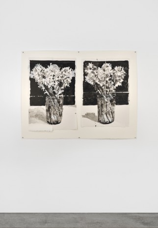 William Kentridge, Hyacinths (Consol Jar), 2017, Marian Goodman Gallery