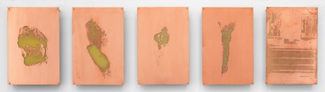 Walead Beshty, Body Print (Popliteal Fossa, Left Antebrachium, Right Antebrachium, Right Carpal and Attending Soft Tissues, Fluticasone Prop 50 mcg Spray), 2017, Petzel Gallery