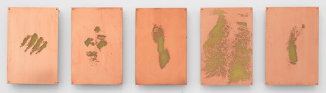 Walead Beshty, Body Print (Right Metacarpophalangeal Joint and Attending Soft Tissues, Right Zygomatic Bone and Attending Soft Tissues, Left Lateral Epicondyle, Abdomen, Right Lateral Epicondyle), 2017, Petzel Gallery