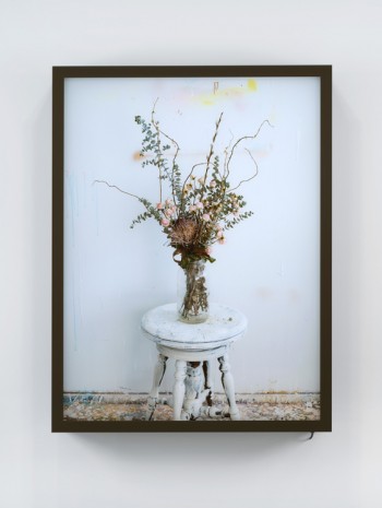 Rodney Graham, Dead Flowers In My Studio 2, 2017, 303 Gallery