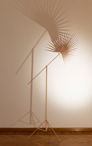 Rä di Martino, The Sun or an Electric Light (Washingtonia Palm), 2017, Monica De Cardenas
