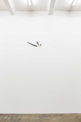 Natalie Häusler, The Bird, 2017, Supportico Lopez