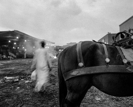 Fouad Elkoury, Marche Rod. Cheval, 1989, The Third Line