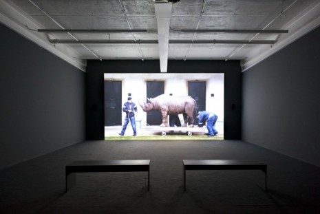 Javier Téllez, O Rinoceronte de Dürer (Dürer's Rhinoceros), 2010, Galerie Peter Kilchmann