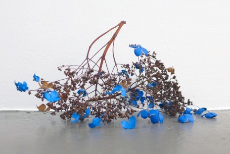 Marzena Nowak, Hortensja, 2015 , Galerie Mezzanin