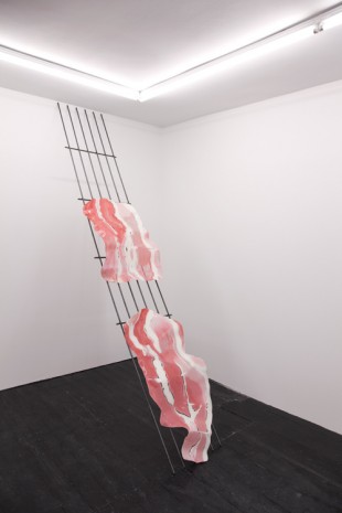 Kasia Fudakowski, Bacon (III), 2017, ChertLüdde