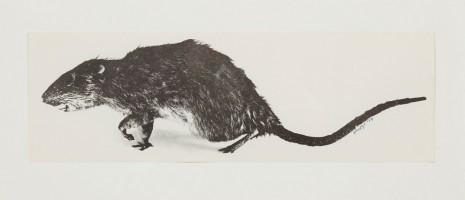 Christy Rupp, The Rat Patrol, 1979, Luhring Augustine