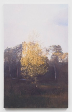 Paul Winstanley, Sunlit Birch (Evening Moon), 2016, Kerlin Gallery