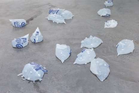 Michel Blazy, Blobfish, 1998-2017, Art : Concept