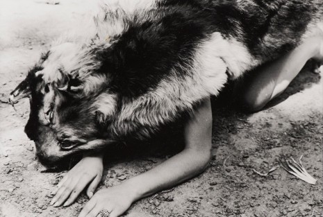 Ana Mendieta, Dog, 1974 , Alison Jacques